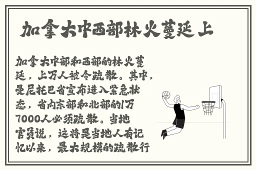 产子岛每周7天都可以生产全集动画