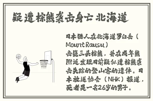 航海王罗宾和发琴乔巴